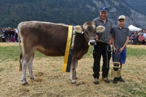 8Champion rind einzeln